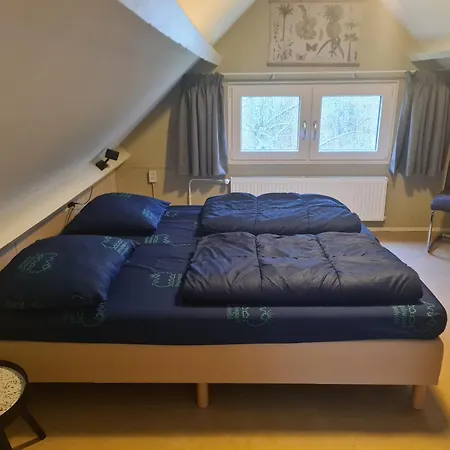 Bungalowpark - Delta 108 Tatil Evi *